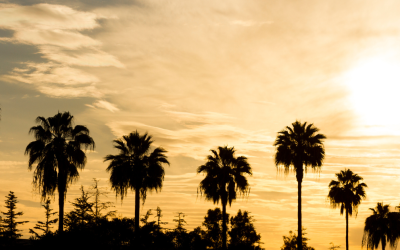 Estate Planning Law Firm Orange CA
